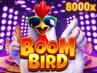 Boom Bird game icon